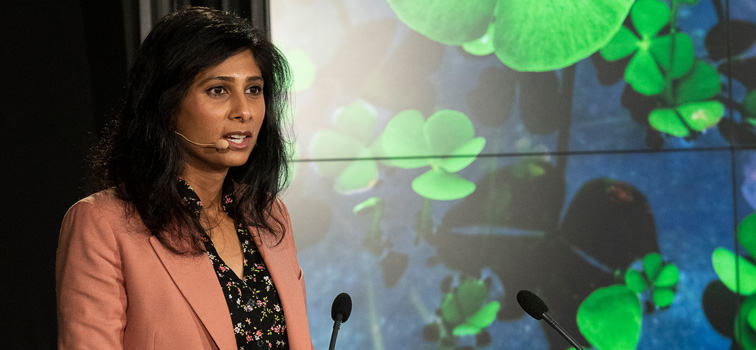 IMF First Deputy Managing Director Gita Gopinath at the Central Bank of Ireland’s Whitaker Lecture