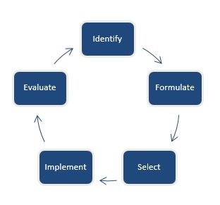 The Policy Making Cycle