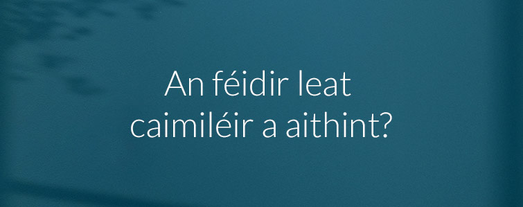 An féidir leat caimiléir a aithint?